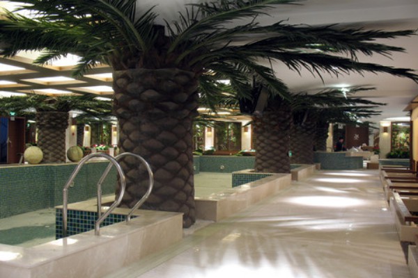 武汉老字号茶馆探秘，传统茶文化体验(武汉老字号茶叶店)